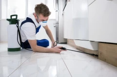 Kammerjäger Kienle Mörfelden-Walldorf Kammerjäger Kienle Mörfelden-Walldorf