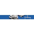 Logo Freyer, Daglind