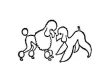 Logo Karin Allgaier Hundesalon