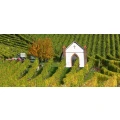 Logo Weingut Heinrichshof