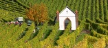 Logo Karl-Heinz Griebeler Weingut Heinrichshof