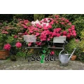 Logo Seidel Garten- und Landschaftsbau