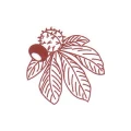 Logo Kastanien-Apotheke