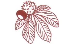 Logo Kastanien-Apotheke