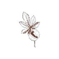 Logo Kastanien-Apotheke