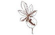 Logo Kastanien-Apotheke Mona Bartsch-Mozafar