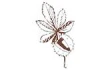 Logo Kastanien-Apotheke Mona Bartsch-Mozafar