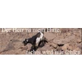 Logo Kath. Kirchenstiftung Zum Guten Hirten