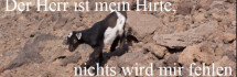 Logo Kath. Kirchenstiftung Zum Guten Hirten