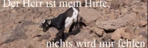 Logo Kath. Kirchenstiftung Zum Guten Hirten