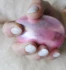 Logo Kathinails Kathrin Neumeister