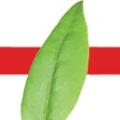 Logo Physiotherapie Vital