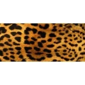Logo Hofer, Katja