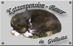 Logo Katzenpension Werner Bauer