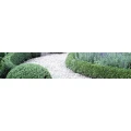 Logo Kelmendi Garten- und Landschaftsbau