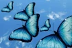 Logo Kerstin Galler Heilpraktikerin, Astrologin