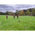 Kerstin Middelanis Hundetraining Dortmund