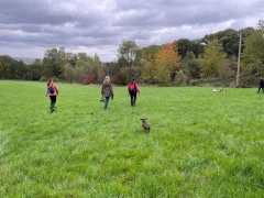 Kerstin Middelanis Hundetraining Dortmund