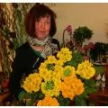 Logo Puhane, Kerstin