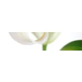 Logo Ulmer, Kerstin