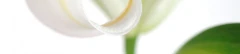 Logo Kerstin Ulmer Fachärztin für Frauenheilkunde und Geburtshilfe
