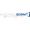 KFZ-Meisterbetrieb Born Hannover