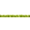Logo Kindertageseinrichtung G&auml;nseblume e.V.