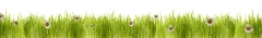 Logo Kindertageseinrichtung Gänseblume e.V.