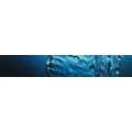 Logo Kingsgard