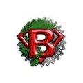 Logo Bauer, Dieter
