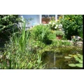 Klaus Heinz Garten- und Landschaftsbau Weingarten, Baden