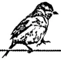 Logo Spatzier, Klaus