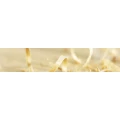 Logo Speier, Klaus