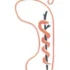 Logo Klein Daniela