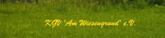 Logo Kleingärtnerverein Am Wiesengrund e.V.
