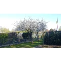Kleing&auml;rtnerverein Gartenfreunde Opladen Leverkusen