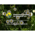 Logo Kleingartenverein Zur Vogelweid e.V.