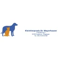Kleintierpraxis Dr. Patricia Mayerhauser Augsburg
