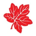 Logo Klinik am Korso Fachzentrum f&uuml;r gest&ouml;rtes E&szlig;verhalten
