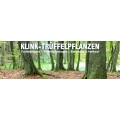 Logo Klink-Tr&uuml;ffelpflanzen