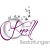 Logo KNOLL Bestattungen