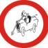 Logo Ködderitzsch Michael