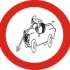 Logo Ködderitzsch Michael