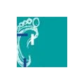Logo Koller GmbH