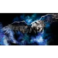 Logo Konzerthaus Dortmund GmbH