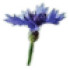 Logo Kornblume