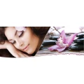 Logo Kosmetik Deluxe