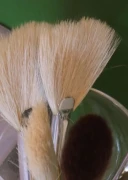 Kosmetik-Gr&uuml;ner Salon Blankenfelde-Mahlow