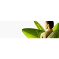 Logo Kosmetik Studio Kosmetik Insel Valentina K&ouml;nig