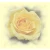 Logo Kosmetik- & Wellness-Studio Margot Wirth
